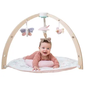 Aden   Anais Play   Discover Baby Activity Gym, Ma Fluer