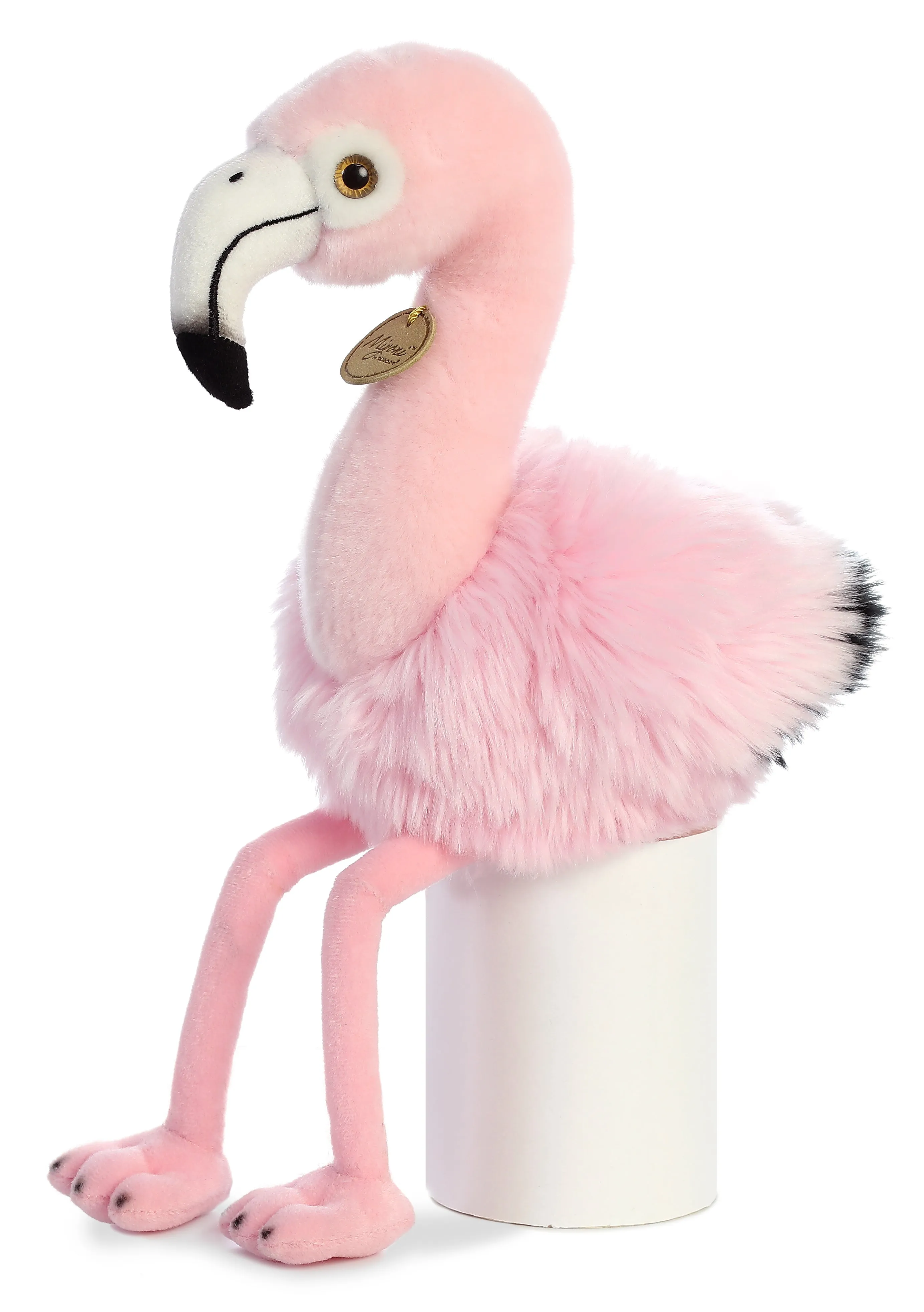 Andean Flamingo