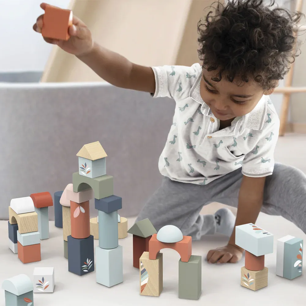 Building Blocks (50 Pieces)