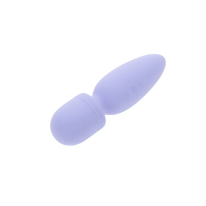 Lovers Wonder Wand Massager