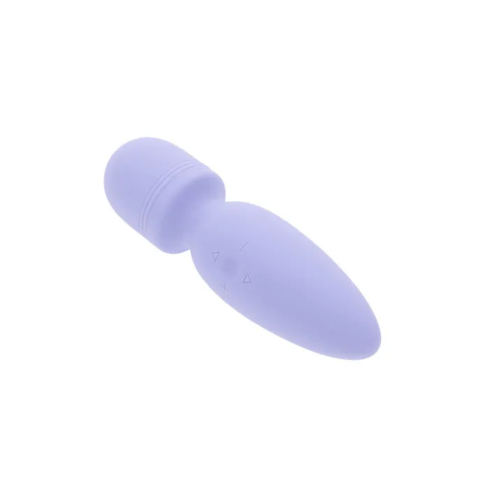 Lovers Wonder Wand Massager