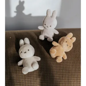 Lucky Miffy Sitting in Giftbox 10cm VARIOUS COLOURS