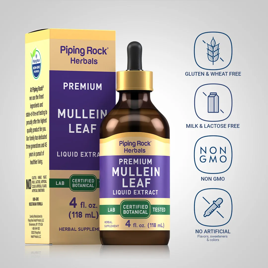 Mullein Leaf Liquid Extract Alcohol Free, 4 fl oz (118 mL) Dropper Bottle