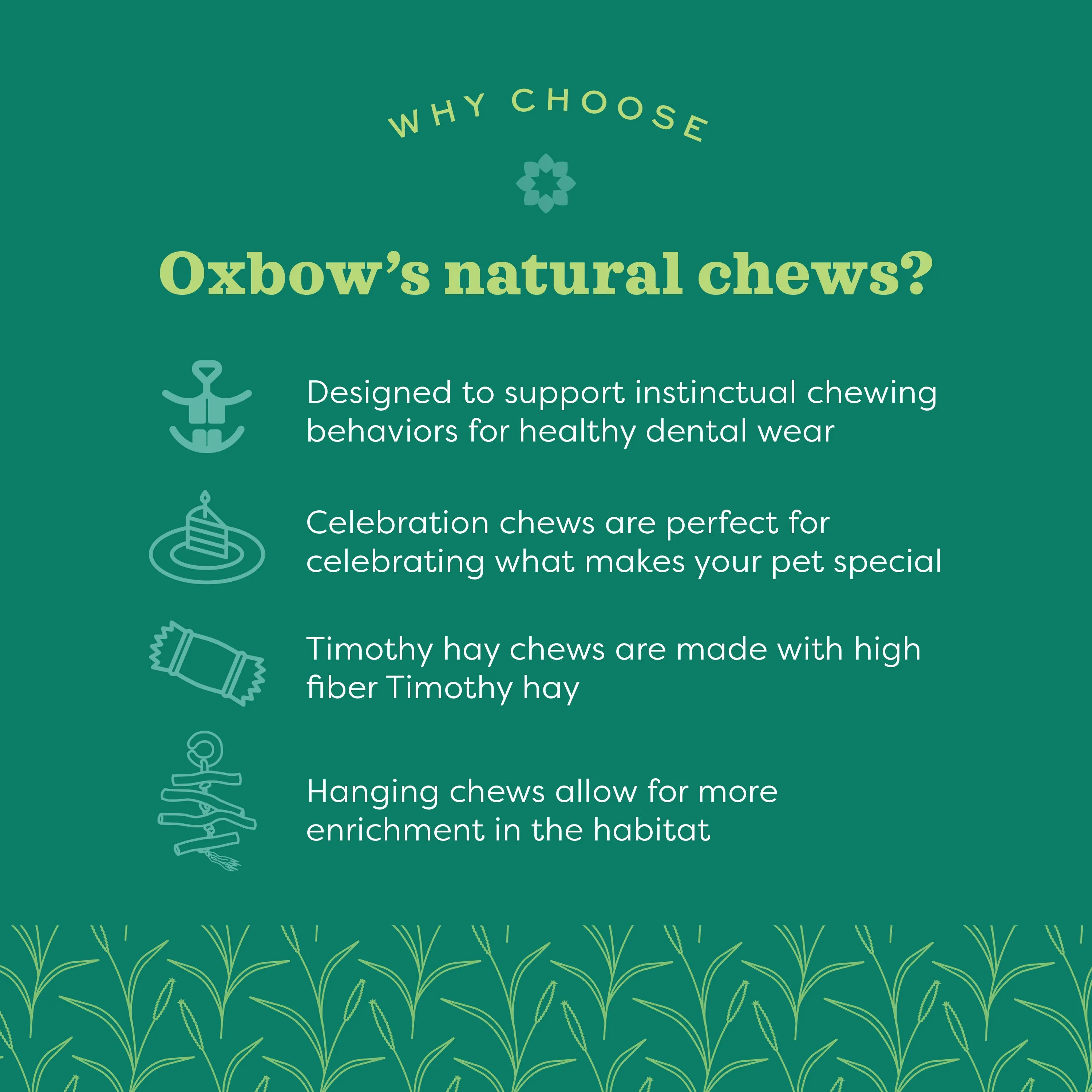 Oxbow Animal Health Enriched Life Celebration Cake