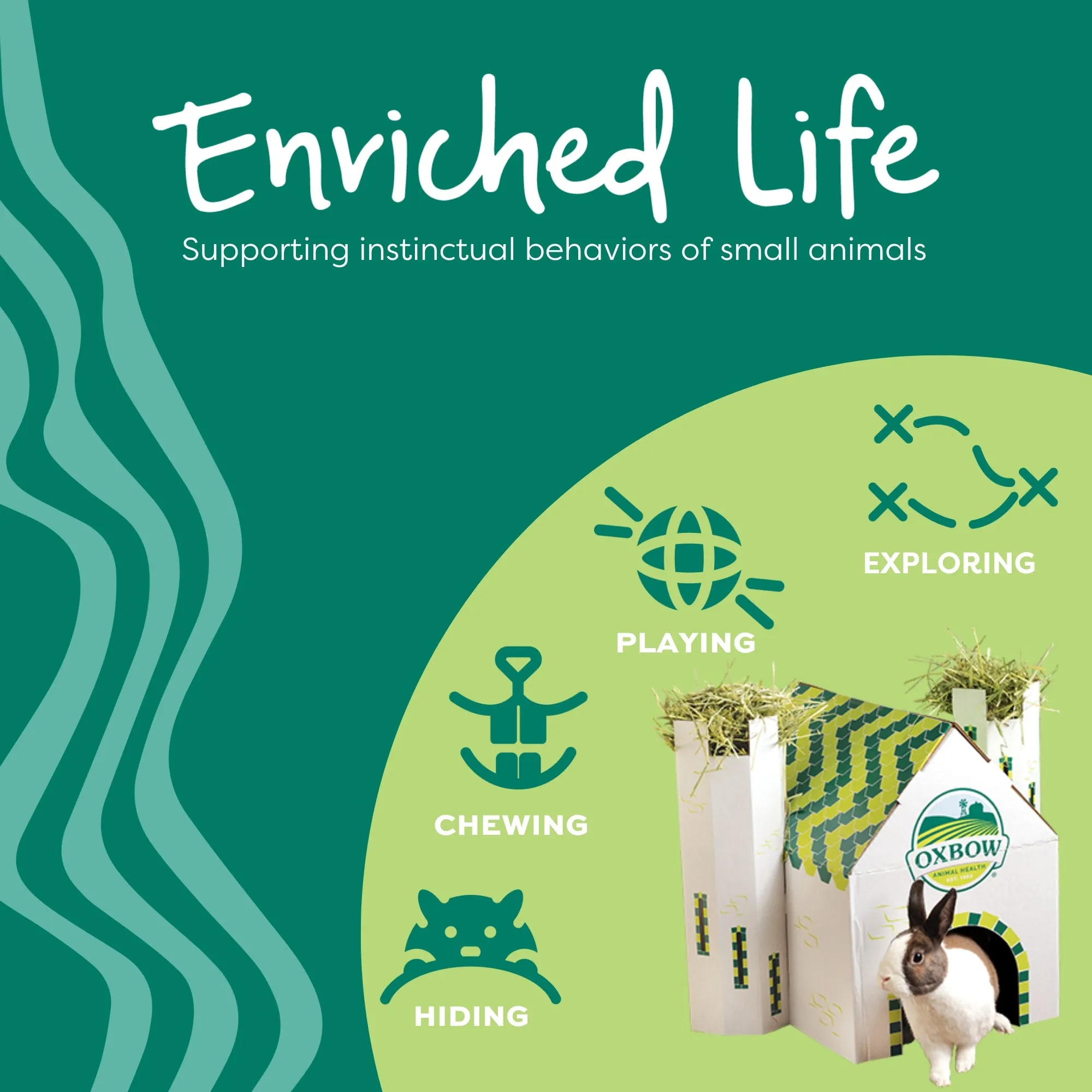 Oxbow Animal Health Enriched Life Celebration Cake