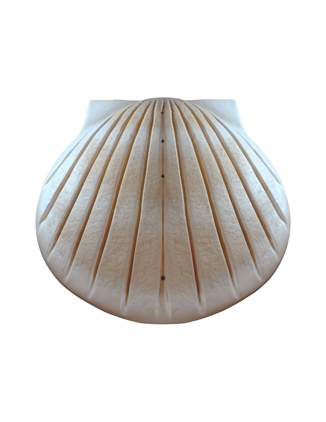 Pearl - The Shell™ Biodegradable Cremation Urn