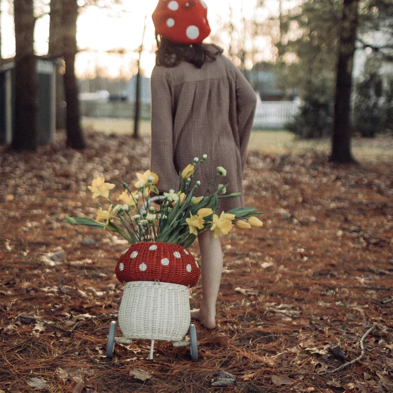 Rattan Mushroom Luggy