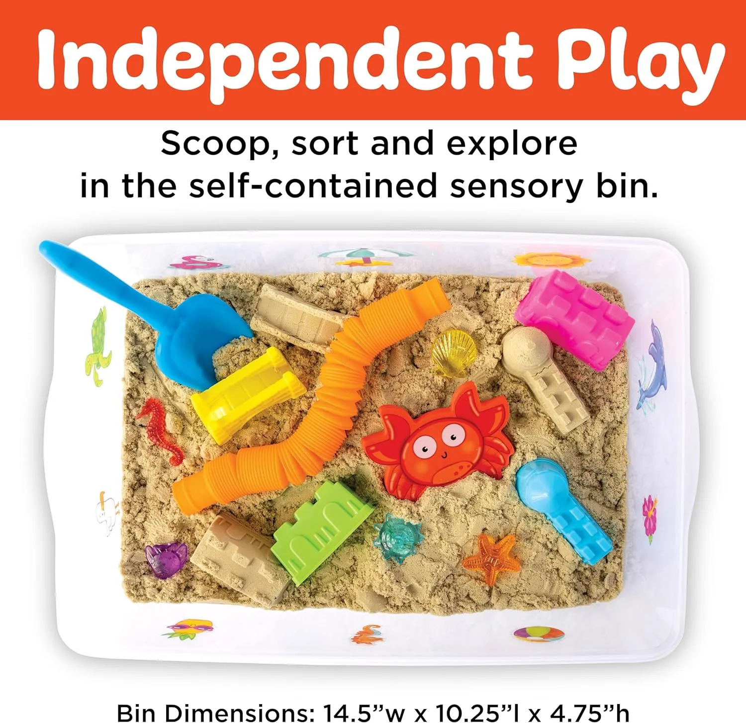 Sensory Bins