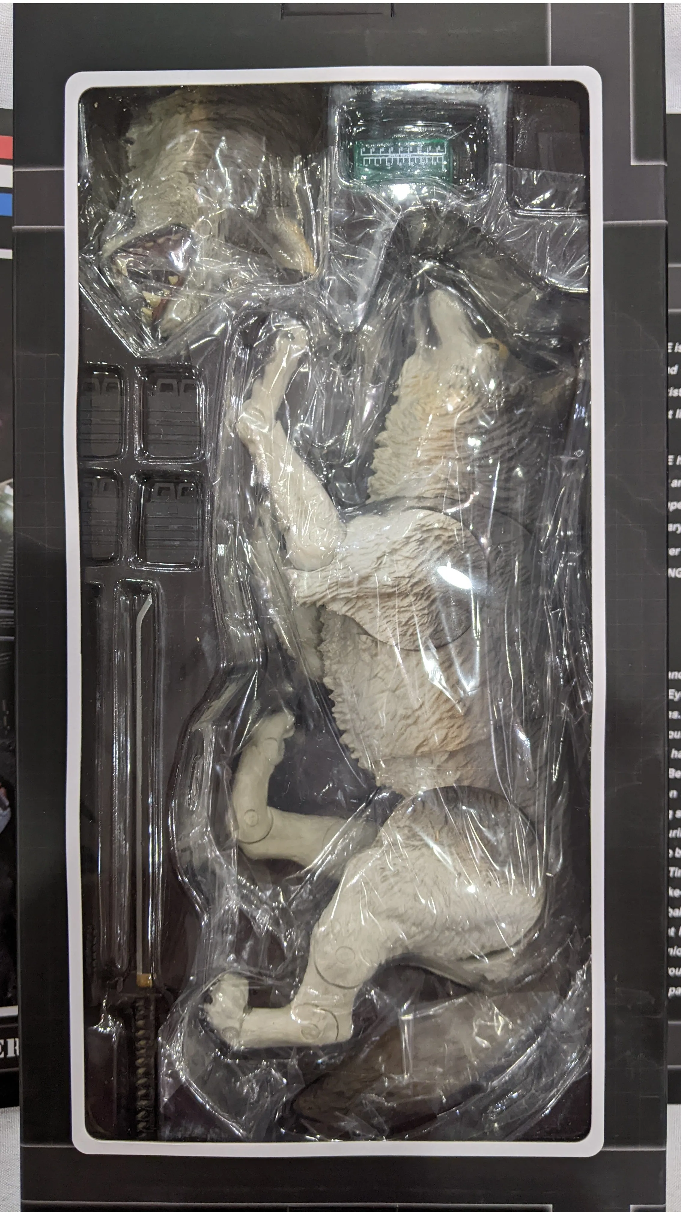 Sideshow Collectible 1/6 G.I. Joe Commando Snake Eyes with Timber Sixth Scale Figure *Open Box*