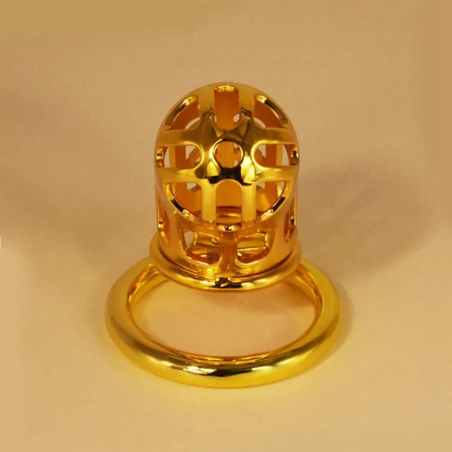 Xinghaoya-100 Gold Male Chastity Cage