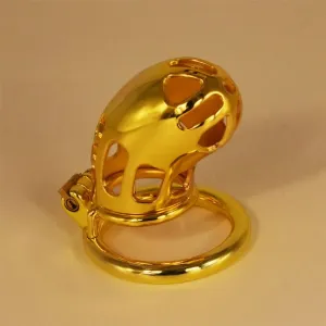 Xinghaoya-100 Gold Male Chastity Cage
